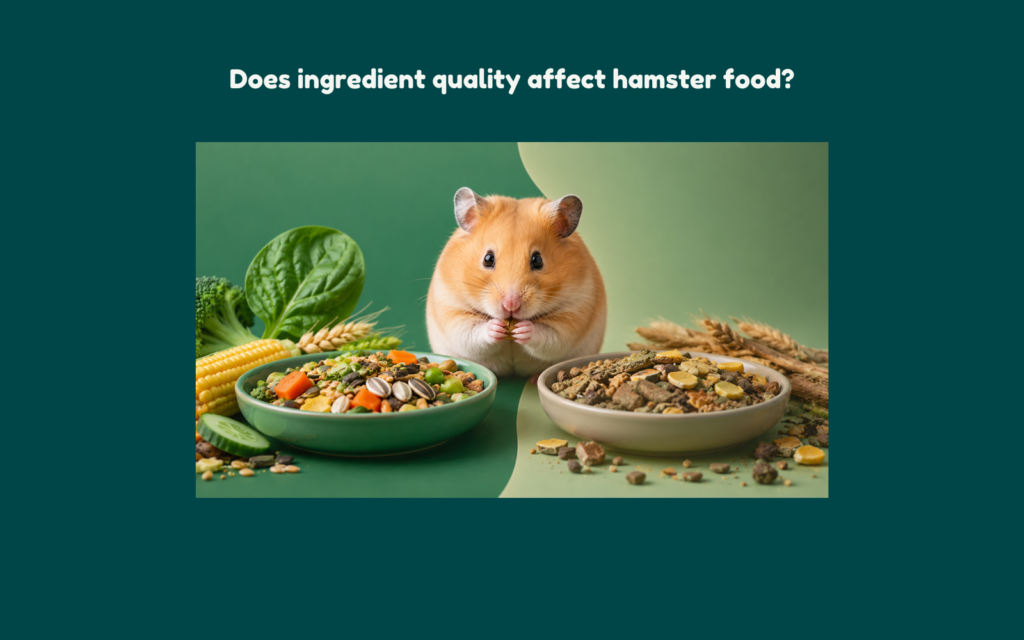 Hamster positioned between fresh nutrient-rich food and low-quality processed hamster feed, illustrating the impact of ingredient quality on hamster nutrition.