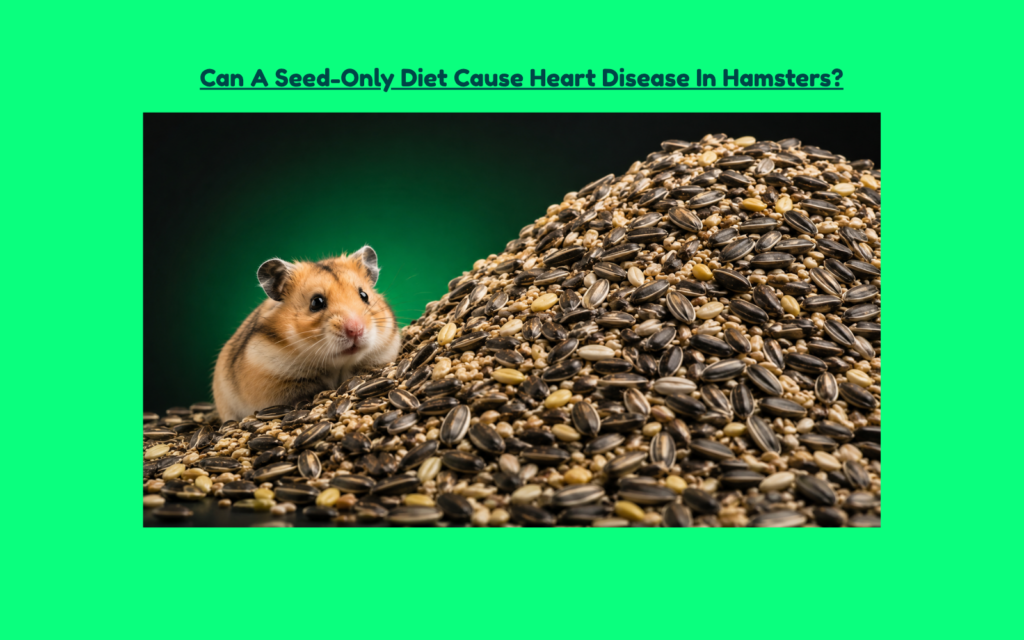 Alt Text Hamster next to an oversized pile of sunflower and mixed seeds, representing a seed-only diet and dietary imbalance.