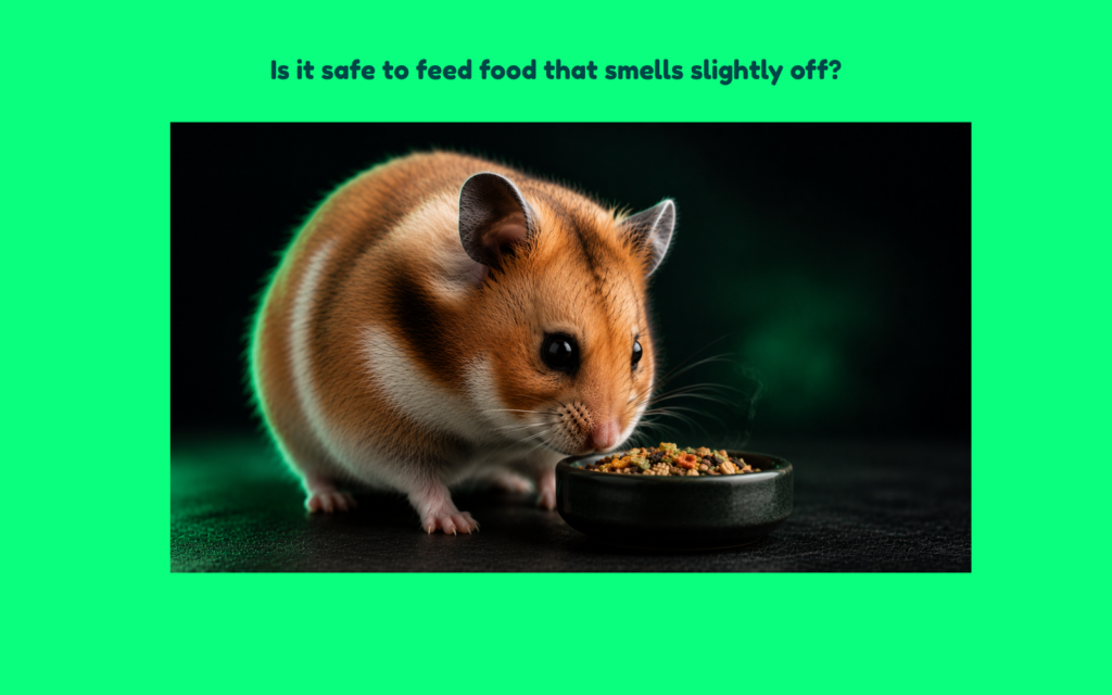 A Syrian hamster closely inspects a bowl of food under soft green lighting, pausing to evaluate its scent before eating.