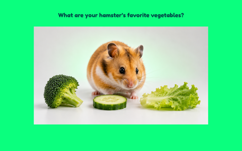 Syrian hamster evaluating broccoli, cucumber, and lettuce in a clean editorial scene representing vegetable preferences and healthy food choices