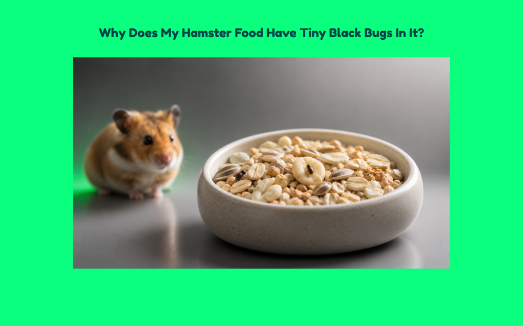 Alt Text Premium ceramic bowl of hamster food with two tiny black insects hidden among the seeds, while a hamster sits softly blurred in the background against a clean editorial-style backdrop.