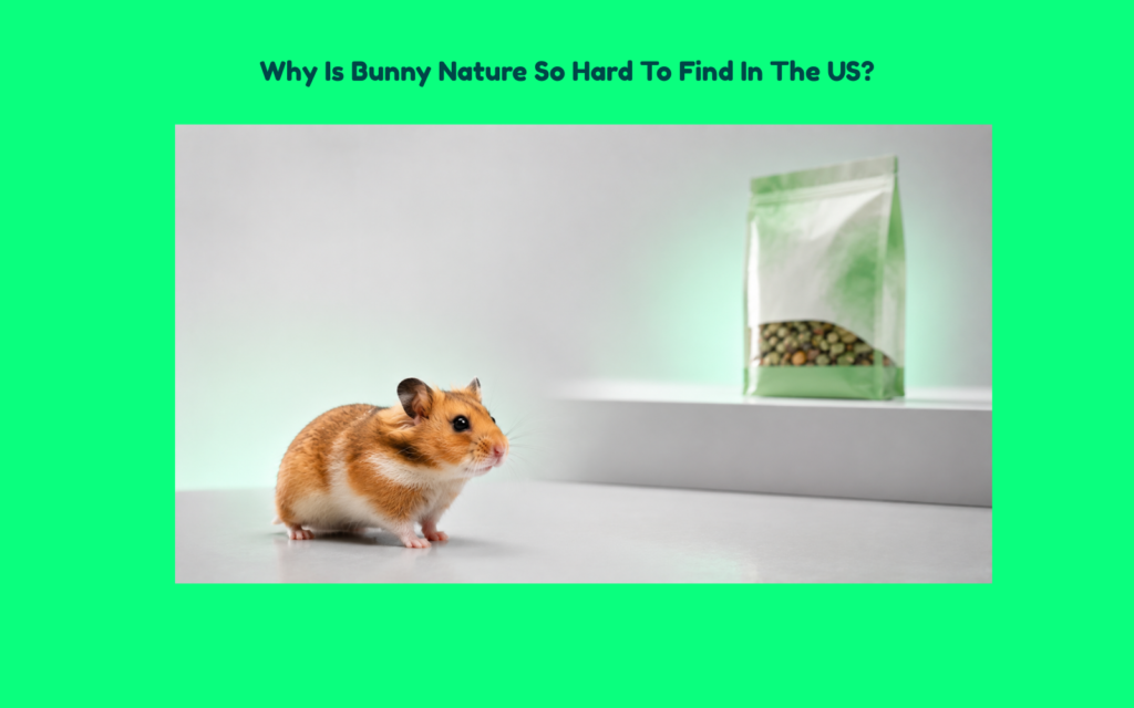 Alt Text: Syrian hamster looking toward a premium hamster food package displayed at a distance, symbolizing the limited availability of specialty hamster food products in the United States.
