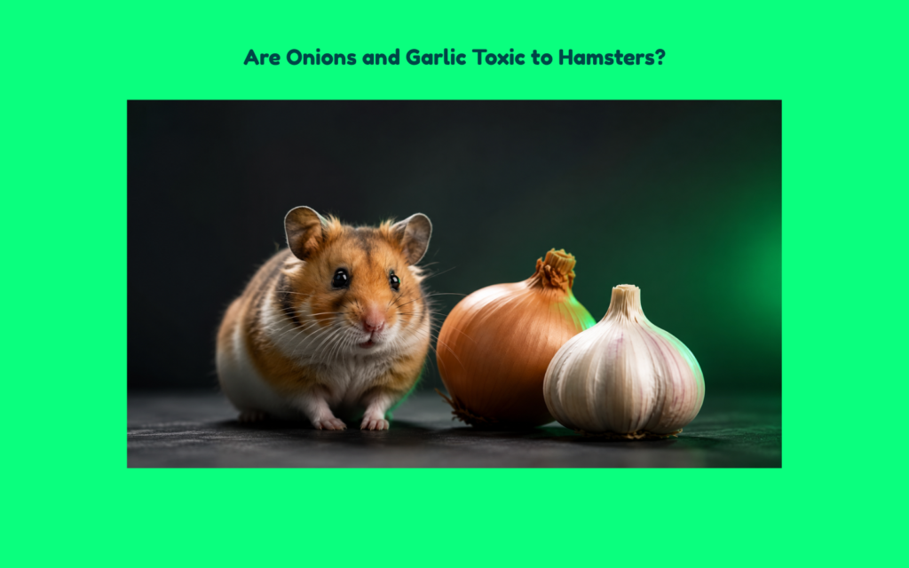 Editorial featured image showing a hamster beside onion and garlic to illustrate that onions and garlic are toxic foods for hamsters.