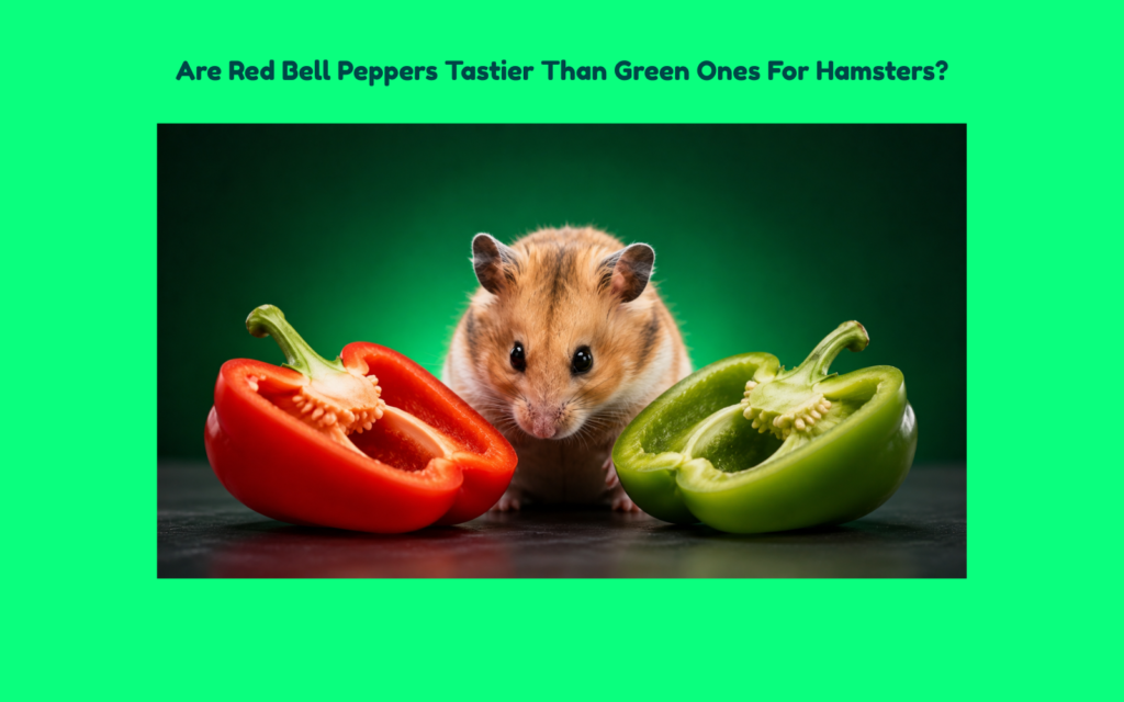 Hamster positioned between red and green bell pepper halves, appearing to compare both peppers in a clean editorial-style composition.