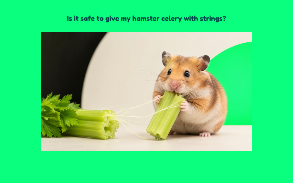 Hamster holding celery with long fibrous strings visible between the stalks.